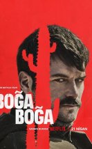 Boğa Boğa