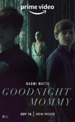 Goodnight Mommy Türkçe Altyazı