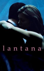 Lantana Filmi izle