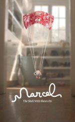 Marcel the Shell with Shoes On izle  Türkçe Dublaj 1080P