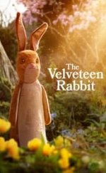 The Velveteen Rabbit