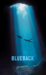 Blueback