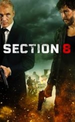 Section 8