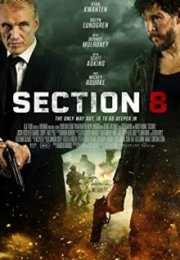 Section 8 720P Türkçe Altyazı izle