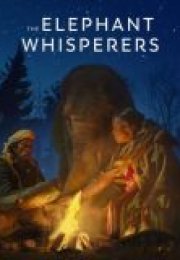 The Elephant Whisperers izle 2022