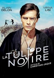 Siyah Lâle  720P izle