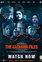 The Kashmir Files 1080P Türkçe Altyazı izle