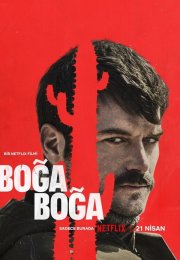 Boğa Boğa